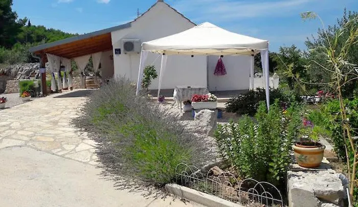 House Marie's Lavander Dream *